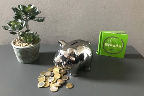 De potjesmethode: zo krijg je grip op je geld. Budgetteren - Cijfers en Structuur