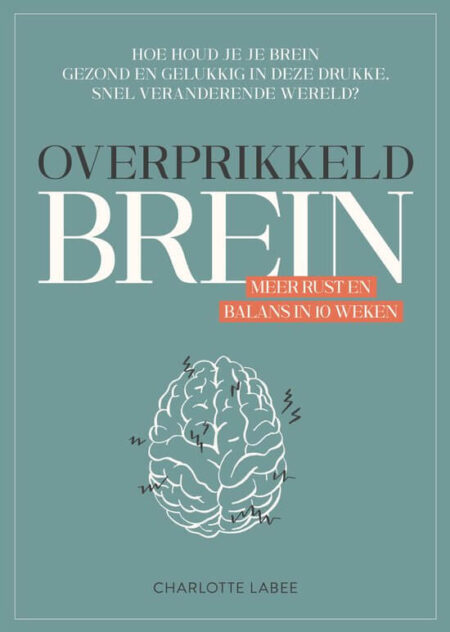 Master your mindset | Michael Pilarczyk - Favorieten Angelique Vijge