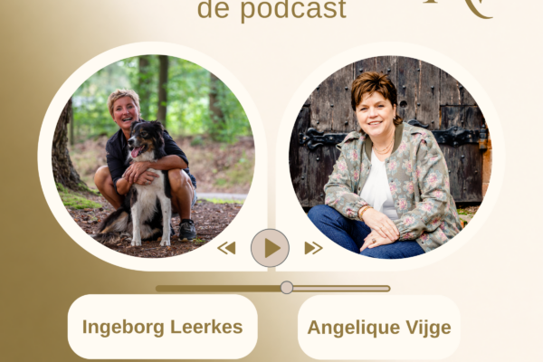 13 Hoe cijfers je helpen betere keuzes te maken – met Ingeborg Leerkes