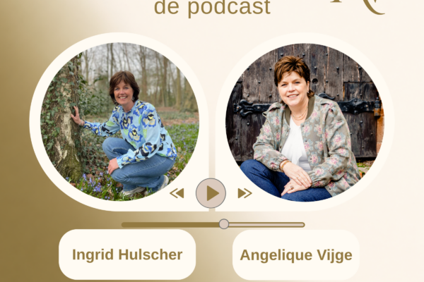Cijfers en structuur podcast met Ingrid Hulscher
