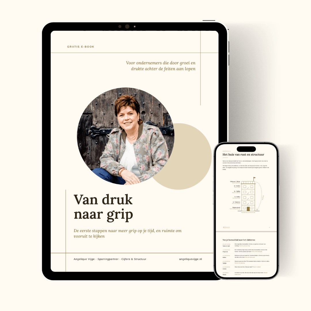 Van druk naar grip - Gratis ebook Cijfers en Structuur